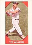 1960 Fleer Baseball Greats Complete Set